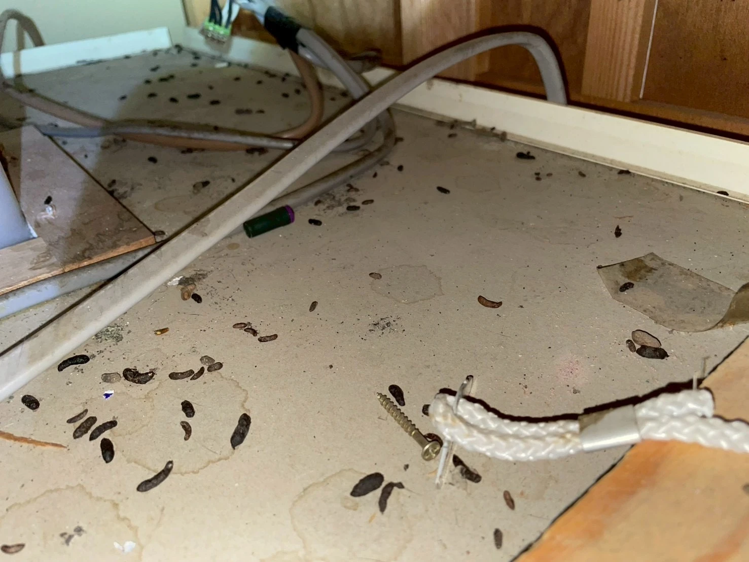 sample-02