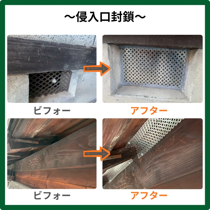 AdobeStock_267069464